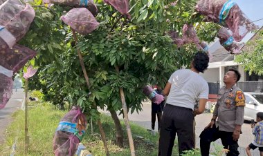 Polisi-Ajari-Warga-Desa-Randegan-Tanggulangin-Perawatan-Tanaman-Kelengkeng-untuk-Hasil-Lebih-Lebat